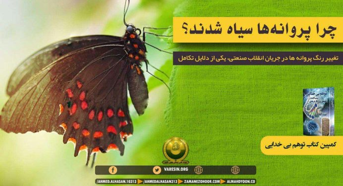 تغییر رنگ پروانه‌ها در جریان انقلاب صنعتی، یکی از دلایل تکامل